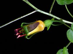 © Landcare Research 2012 